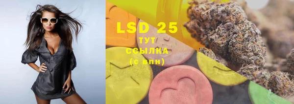 стаф Белоозёрский