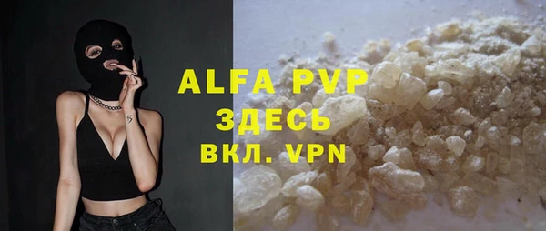PSILOCYBIN Белокуриха