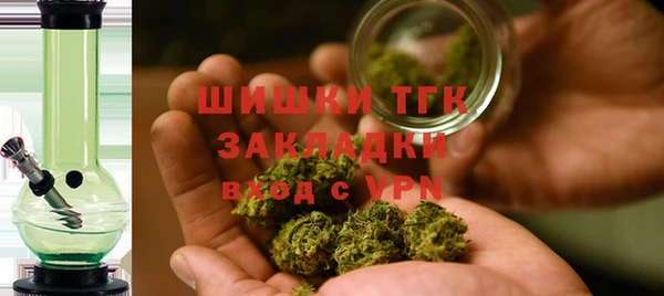 PSILOCYBIN Белокуриха