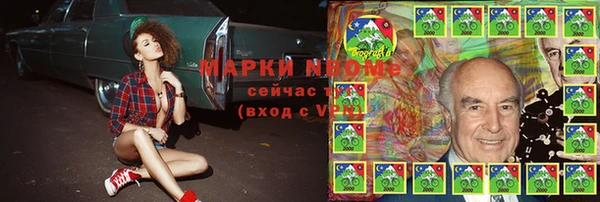 PSILOCYBIN Белокуриха